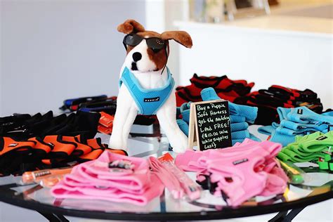 Posh puppy boutique - The Posh Puppy Boutique having huge selection of designer dog clothes and doggie couture, dog accessories, carriers, collars and leashes, harnesses, dog beds, dog id tags, dog toys, and other unique apparel and accessories.